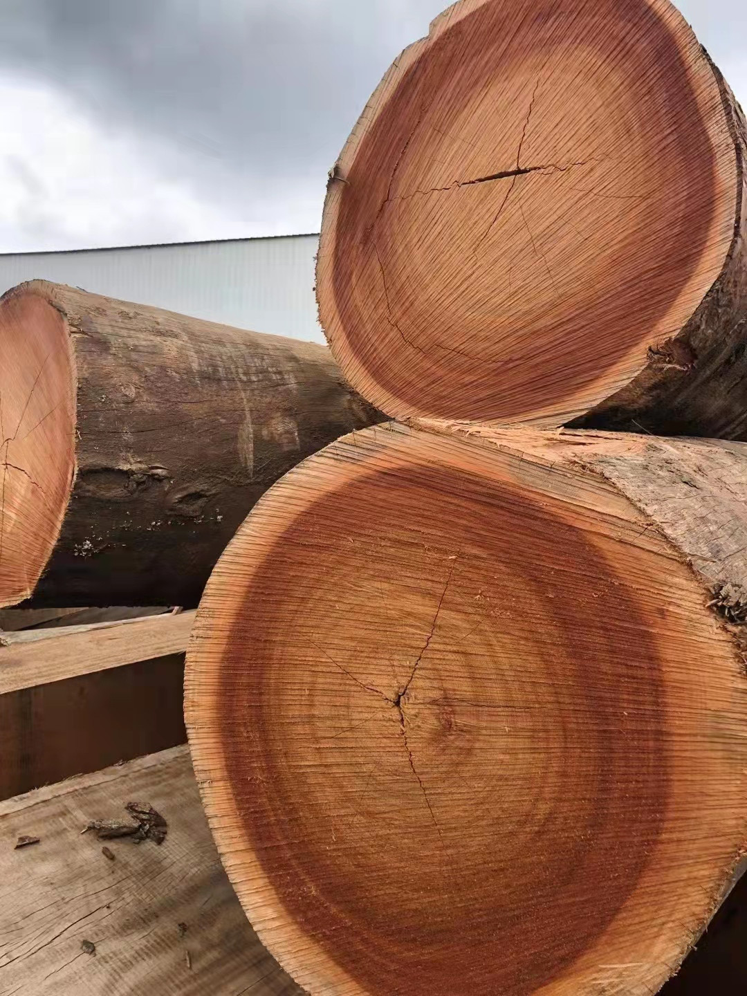 源头厂 户外防腐木菠萝格密度高硬杂木枕木结实耐用 多用途多尺寸