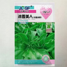 冰草种子冰菜种子非洲冰草新鲜蔬菜种子原装100粒冰草菜 冰菜种子