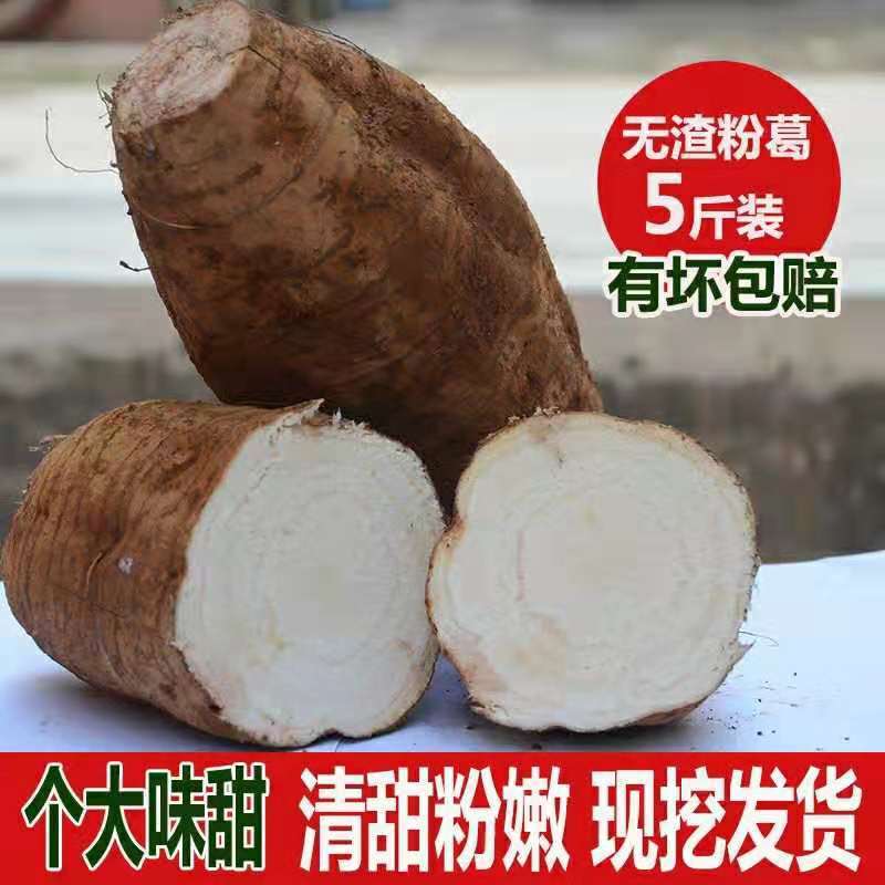 广西特产藤县和平粉葛农产品蔬菜葛薯新鲜先挖葛根煲汤1斤装包邮