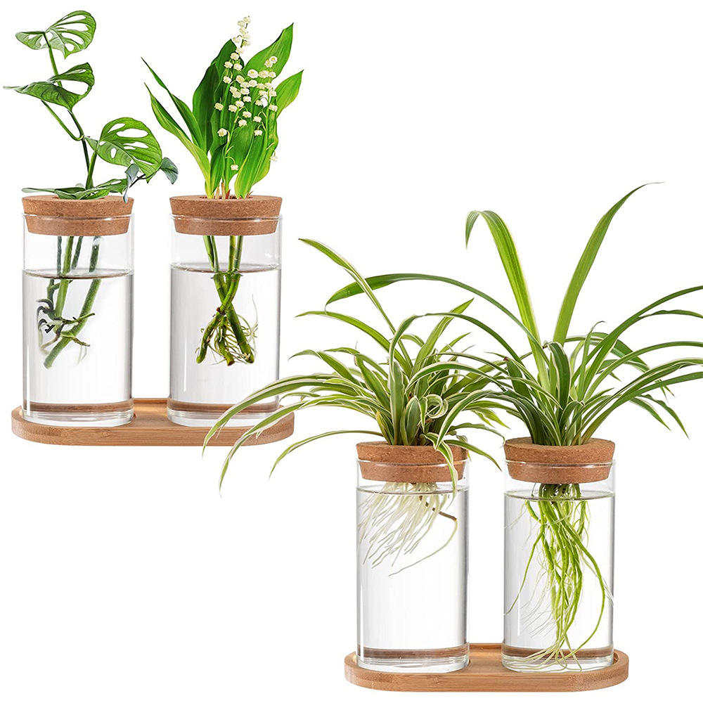 玻璃花盆带盖子和木制支架的水栽玻璃花瓶 水培植物家庭办公