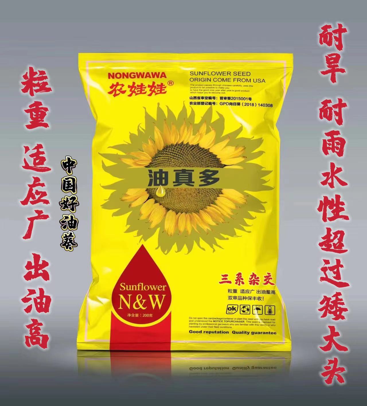 批发大型食用向日葵种子大粒饱满高产观赏向日葵籽美国矮大头油葵