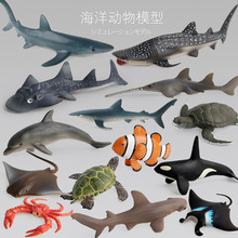 贝壳鱼动物 野生海洋模型 小丑鱼 海龟 鲨鱼模型玩具
