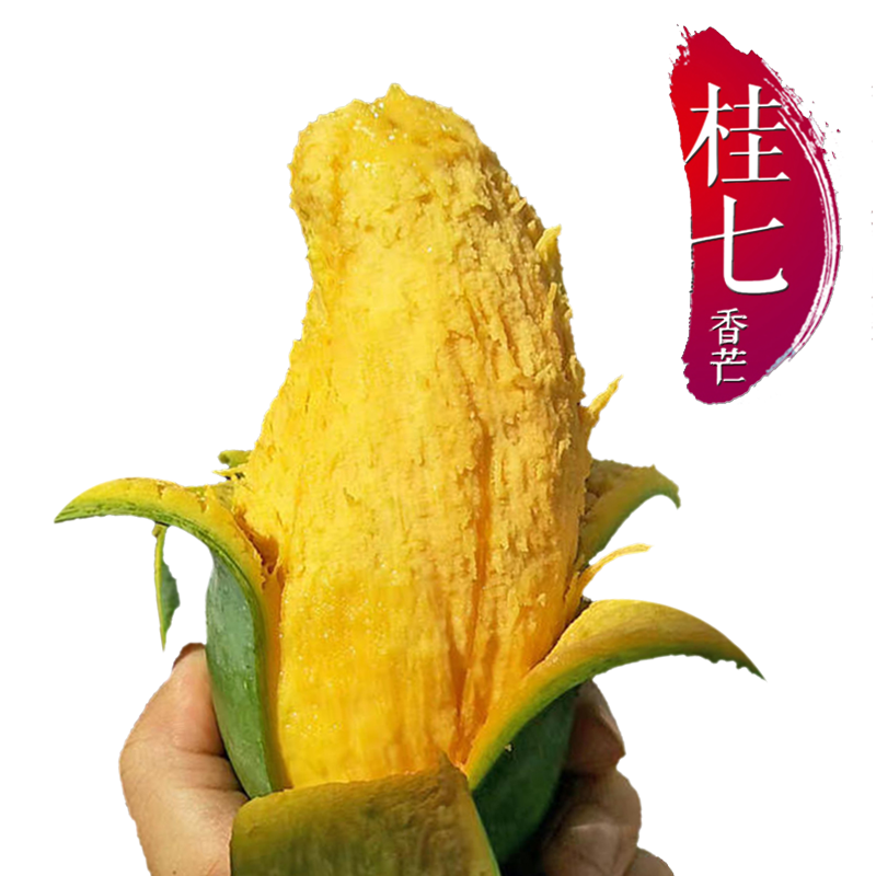 xc广西百色田阳芒果之乡 桂七芒果 礼盒送礼-阿里巴巴