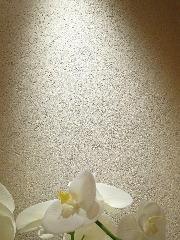 生态灰泥室内外墙磨砂雅晶石肌理漆别墅地下室防潮霉灰泥艺术涂料