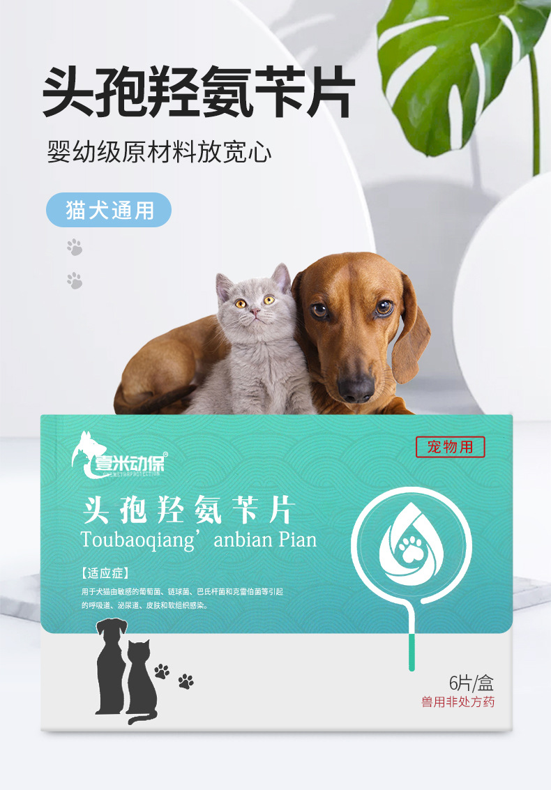 壹米动保头孢羟氨苄片6片/盒狗狗猫咪呼吸道感染泌尿道宠物消炎药