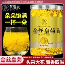 金丝皇菊官方旗舰店大菊花正品可搭枸杞金银花蒲公英茶菊花茶黄菊