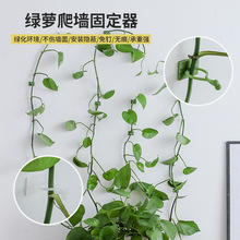 家居绿萝爬墙固定器免打孔植物攀爬上墙美观收纳自粘式挂钩理线夹