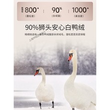 儿童羽绒马甲加厚连帽蓬松男童2023新款保暖7岁10秋冬中大童8女童