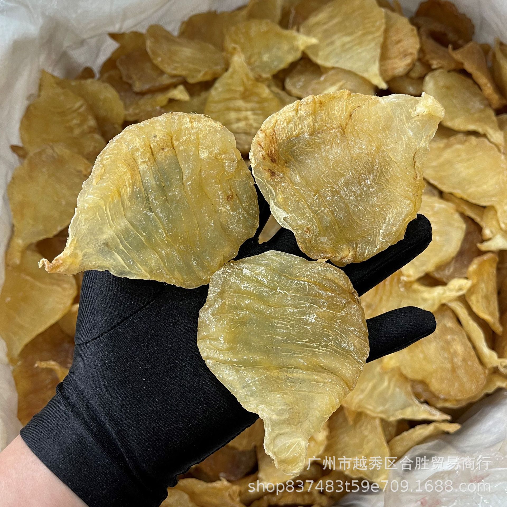 【15-16头双芽胶】安南胶 鳘鱼胶 斗湖胶 鱼胶花胶 海味干货批发