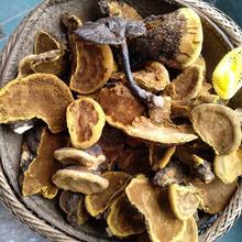 包邮桑黄野生500g吉林长白山整枝礼盒装桑树桑黄灵芝一斤_阿里巴巴找