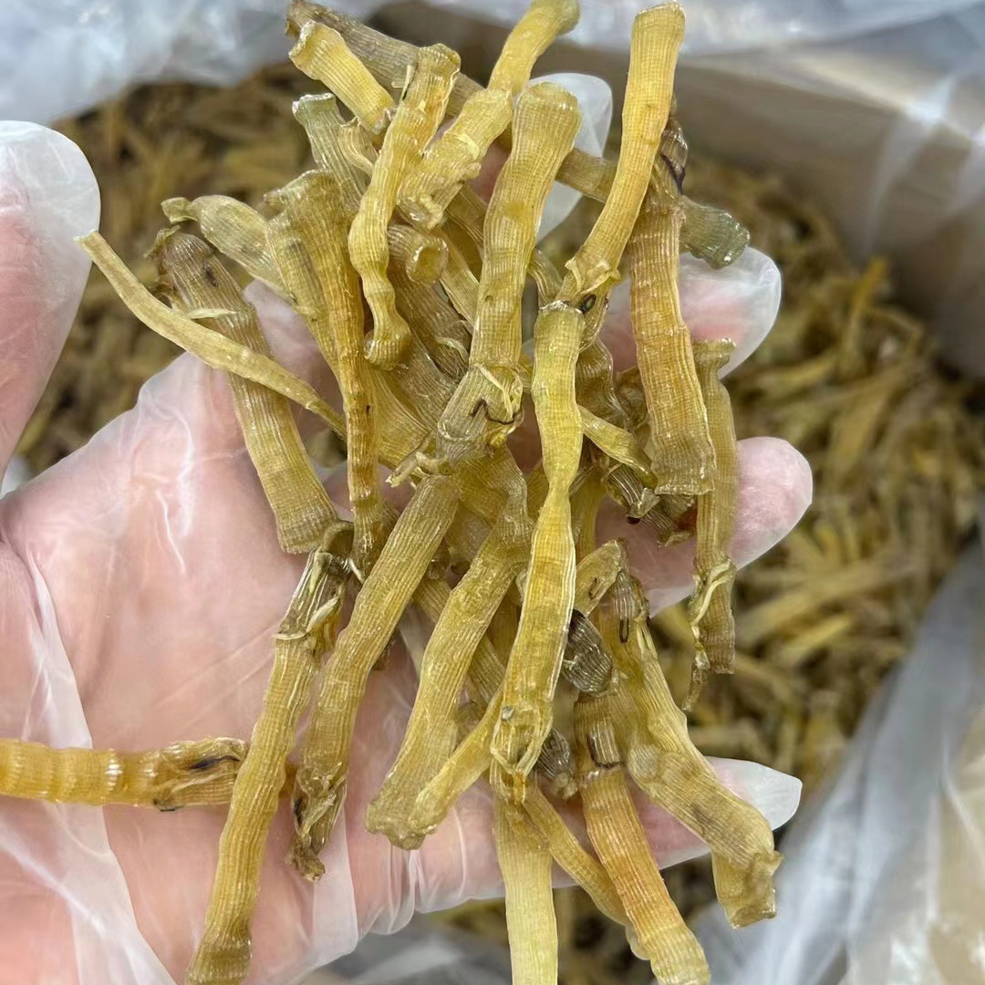 沙虫干无沙小沙虫北海沙虫海鲜干货煲汤干沙虫非湛江福建干沙虫