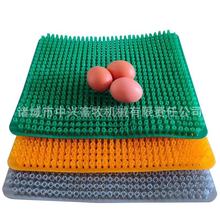 多种颜色蛋箱塑料草垫出口塑料产蛋箱草垫尺寸蛋鸡种鸡产蛋箱窝垫