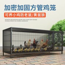 鸡笼养鸡家用不锈钢笼子养殖笼铁笼子鸡舍蛋鸡笼兔笼特大号