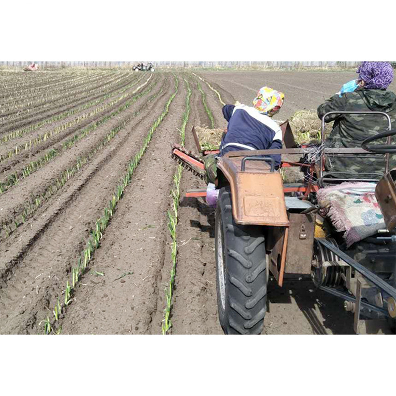 拖拉机后置大葱移栽机油菜芹菜药材树苗移栽机座驾式自动栽葱机