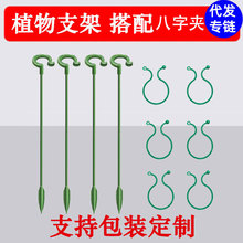 多肉蝴蝶兰专用花架支架植物盆栽花卉造型支撑杆固定防倒伏护叶架