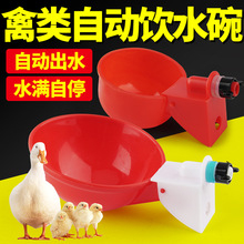 鸡用自动饮水器鸡鸽子喂水碗鸡鸭饮水喝水器小鸡鸡舍饮水神器养殖