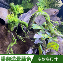 爬虫缸树藤树枝蜥蜴寄居蟹陆生攀爬造景用品爬宠仿真植物藤条装饰