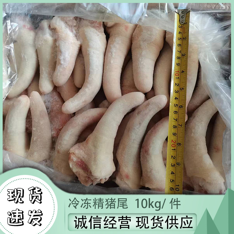 冷冻猪尾 短猪尾巴 猪副20斤/件广州批发猪尾巴