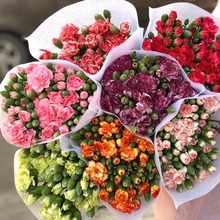 多头康乃馨鲜花批发云南直发多丁康鲜切花节日酒店前台餐厅桌花