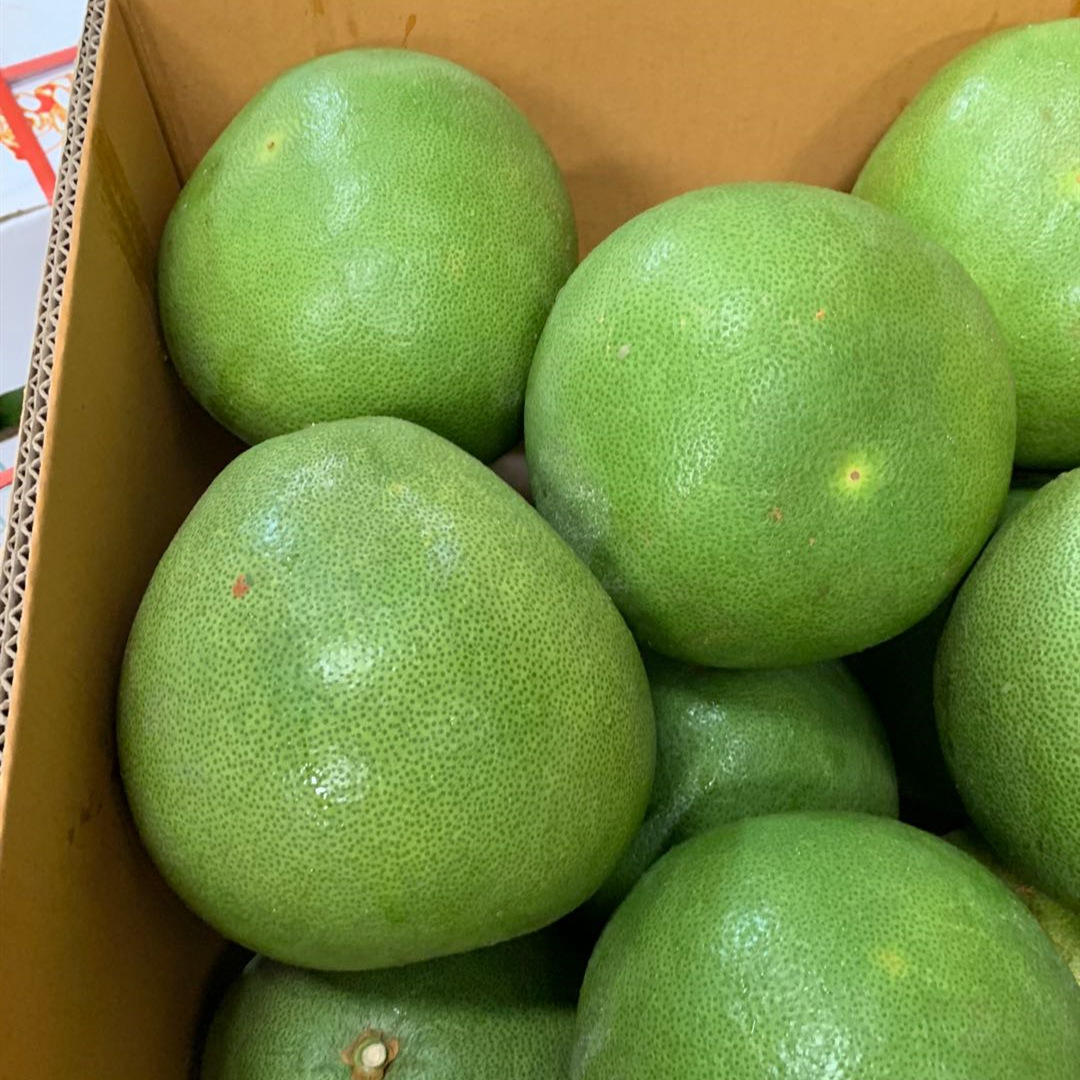 泰国安帕瓦青柚2个/4个装 新鲜水果青皮蜜柚