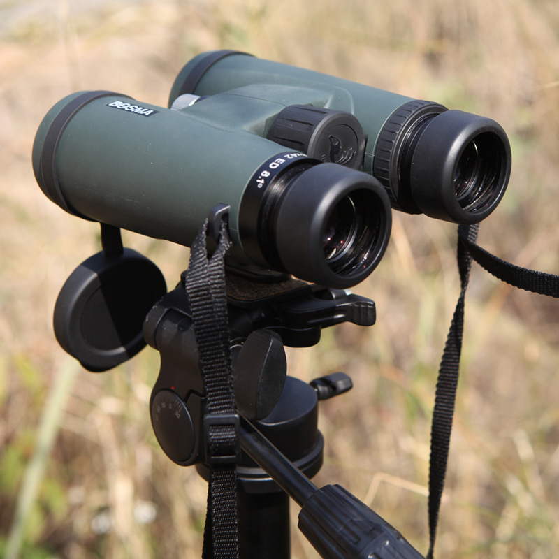 专柜博冠鸿鹄8x42 10x42双筒望远镜ed镜片超广角平场防水观鸟镜