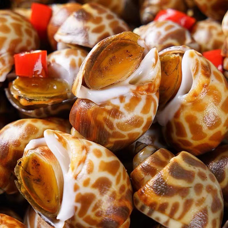 冷冻花螺花螺冷冻新鲜海鲜花螺批发鲜活商用鲜活冷冻东风螺