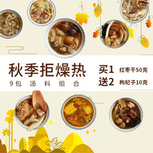 煲汤材料秋季养生炖鸡汤药膳汤包9包套餐广东汤料包