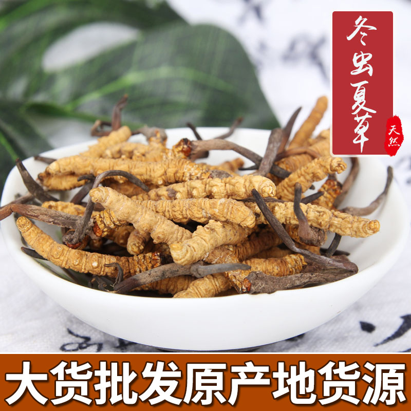 新货批发虫草那曲冬虫夏草4条/克足干 代发满10克送礼盒