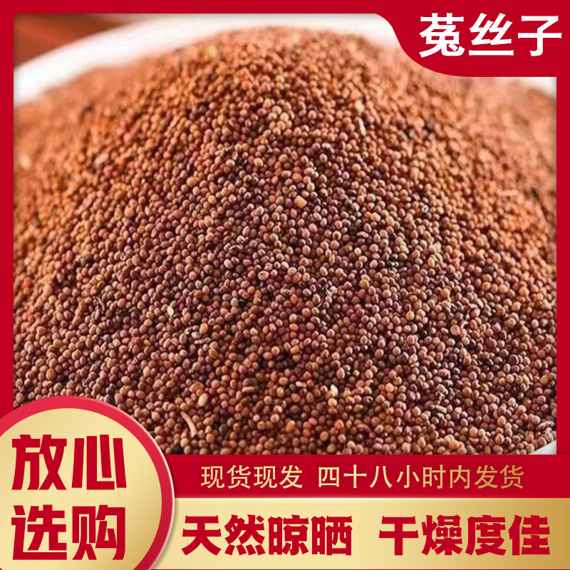 野生菟丝子500g克内蒙兔丝子泡水菟丝子泡茶另售韭菜籽枸杞-阿里巴巴