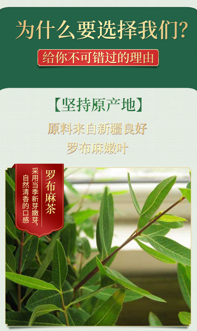 调节血压尼亚人罗布麻茶适宜血压偏高人群一件代发