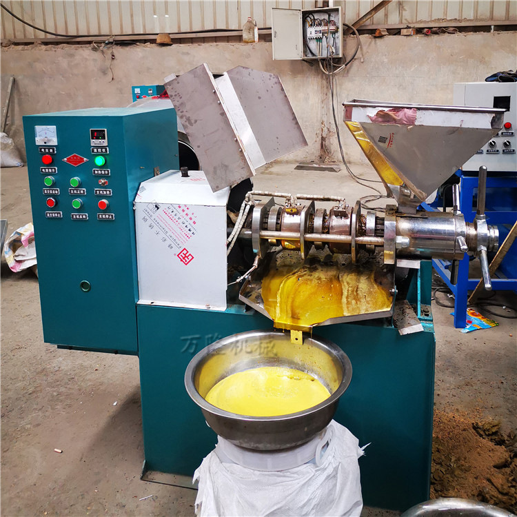 多功能榨油机螺旋花生菜籽芝麻榨油机全自动温控大型食用油压榨机