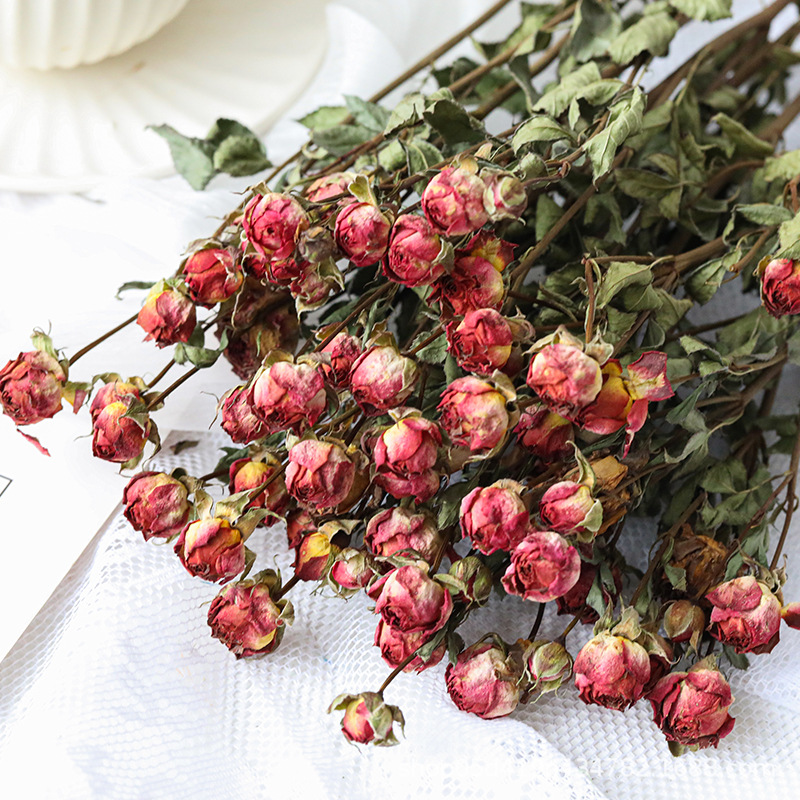 工厂直发多头玫瑰干花 多头泡泡蔷薇花束滴胶diy摄影道具装饰花材