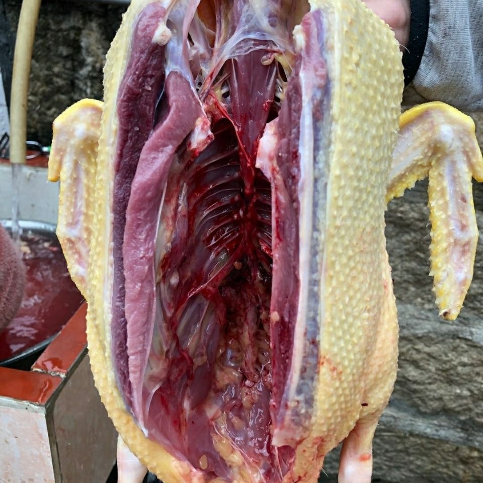 【广州番鸭】-广州番鸭厂家,品牌,图片,热帖-阿里巴巴