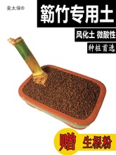 簕竹土小叶竹簕土风化土种竹子土红土勒竹花盆景种植土营养麦太保