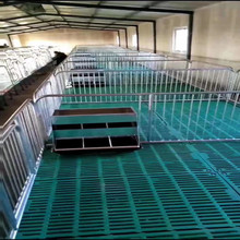 养殖场小猪保育床 热镀锌猪用床 全复合保温床