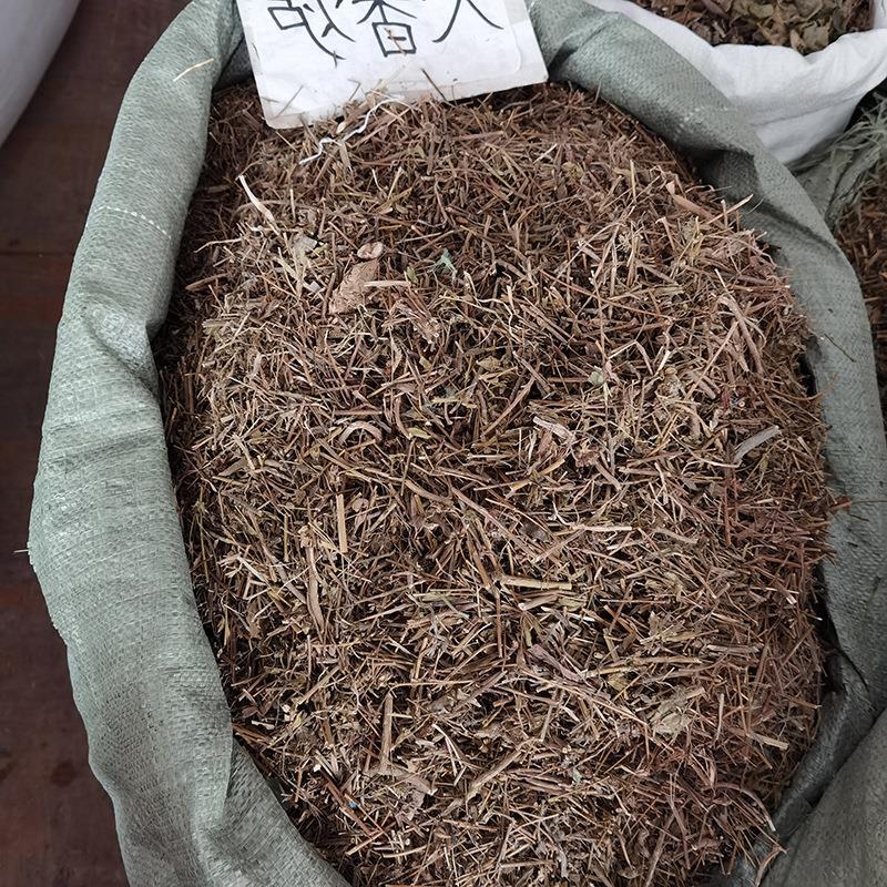 冷门中药天香炉,别名,金锦香,紫金种,大香炉,批发中药材天香炉