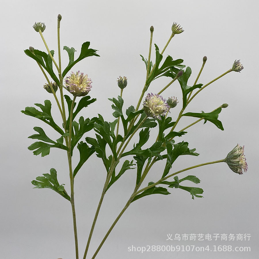 紫色花艺家居装饰假花刺芹花蓝盆花植物婚庆手捧花束材料-阿里巴巴