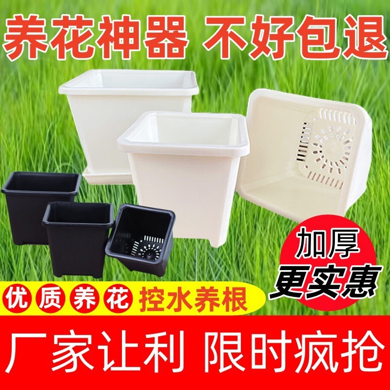 肉肉花盆植物多肉专用盆塑料加厚大小白方盆多肉小育苗方形