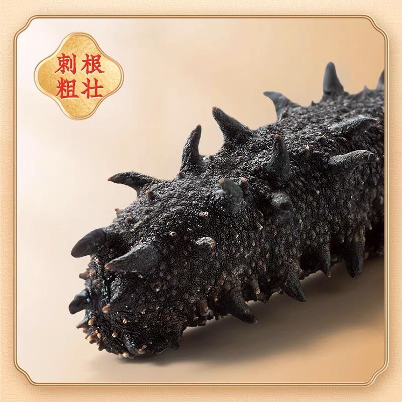 大连深海底播淡干海参干货50g辽参高泡发海鲜干货礼盒辽刺参-阿里巴巴