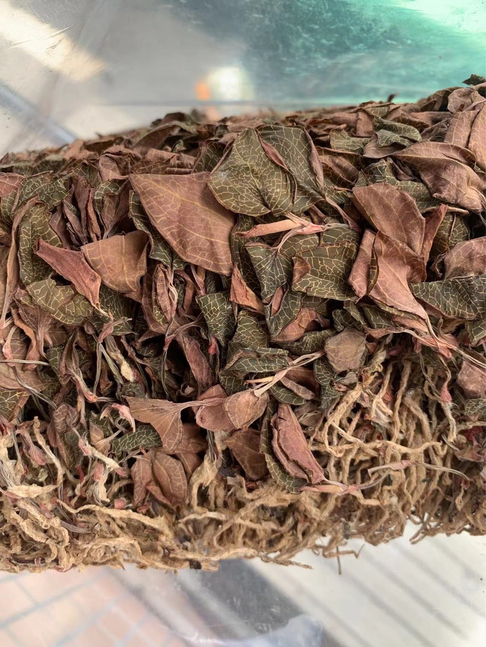 福建特级红霞金线莲干品整株盒子装100g礼盒装滋补招代理一件代发