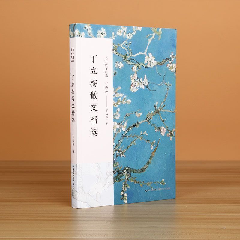 丁立梅散文精选彩插版名家散文典课外阅读书文学散文随笔名家名作