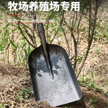 【跨境可代发】钢锹轨道钢铁锹大全铲户外尖方煤锨加厚农用工业锹