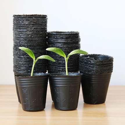 加厚营养钵塑料育苗袋营养袋营养杯育苗盆育苗杯一次性花盆种植大