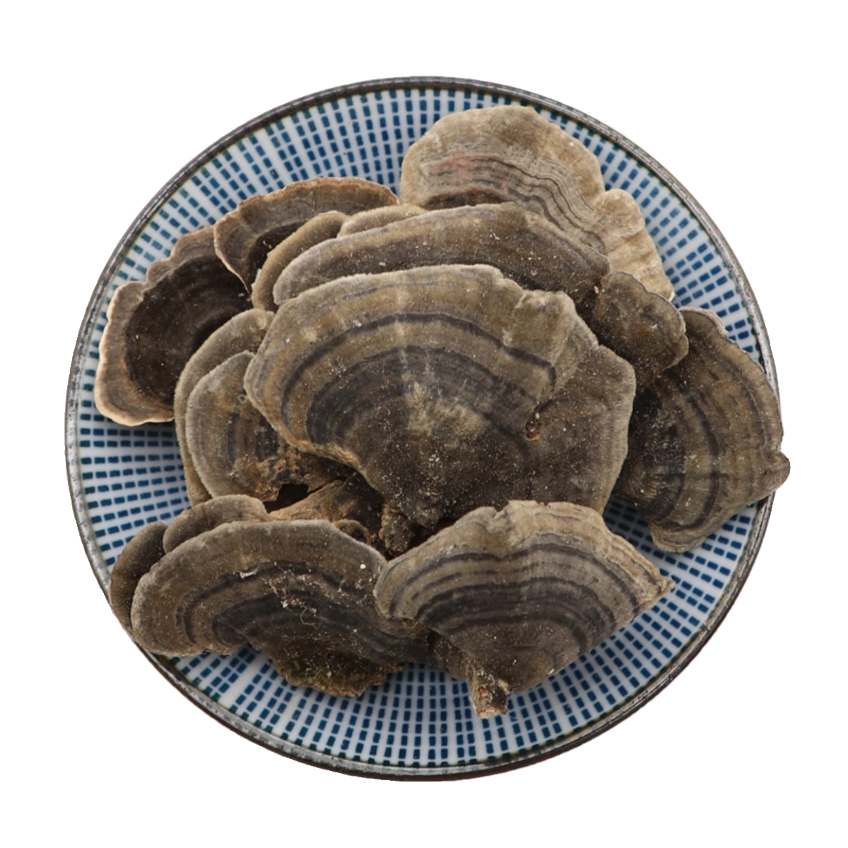 云芝中药材云芝蘑云芝菌青灵芝无硫天然500g克新货干货正品包邮