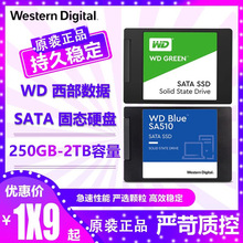 WD/西部/数据 蓝盘绿盘SATA固态硬盘SSD台式机笔记本250G500G1