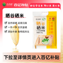 东北方正秋然系列新米富硒稻花香壹品10kg大米粳米甜甜官方旗舰店