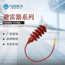 HY5WZ HY5WS-17/50Q 10KV 24KV带引线 导线 氧化锌避雷器