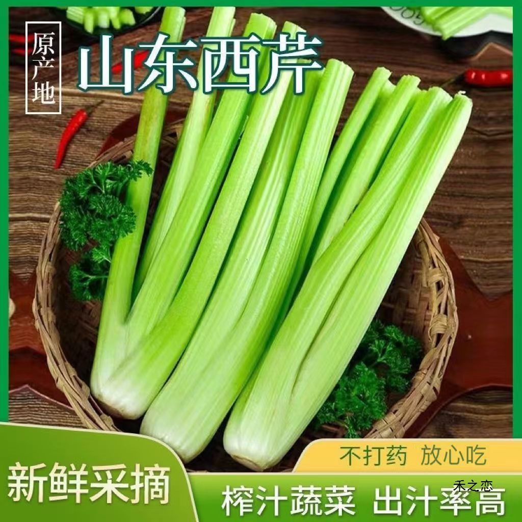 【】山东西芹水果芹菜无叶榨汁芹菜嫩心香芹绿色青菜