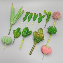 仿真沙漠仙人掌塑料假植物仙人球创意沙漠场景人造植物装饰品