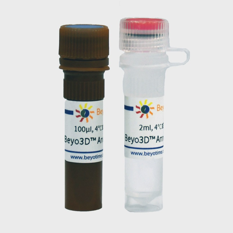 Beyo3D™ Annexin V-PE细胞凋亡检测试剂盒C1387S C1387M C1